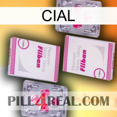 Cial 33